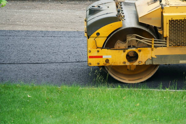 Best Custom Driveway Pavers  in Carthage, NC